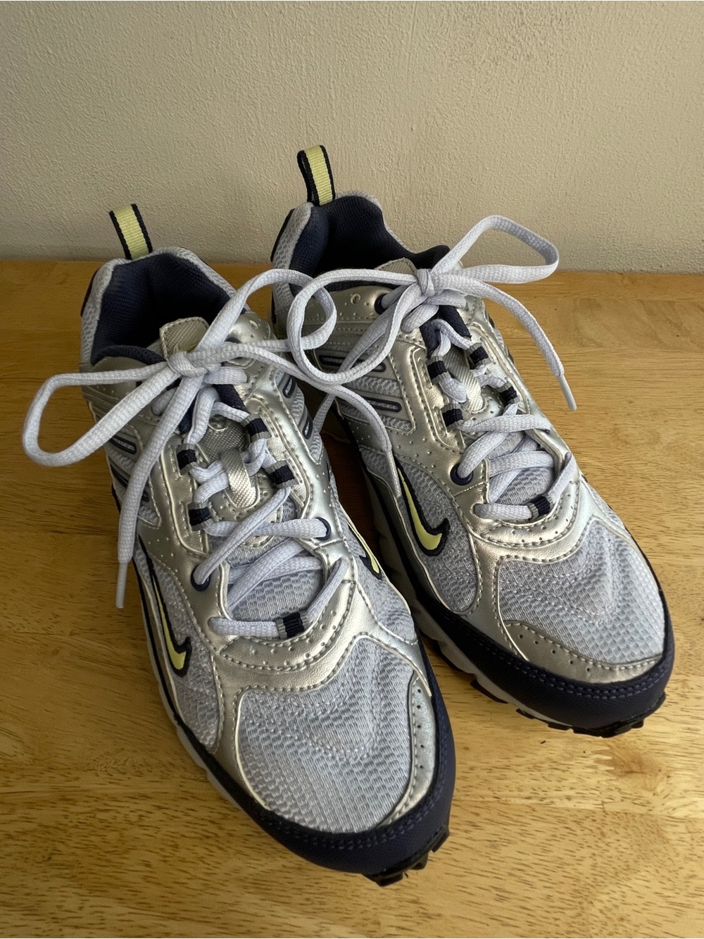 Nike Trail Women's Navy And Silver Running Shoes Size 8